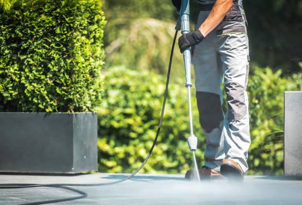 Best Dumpster Area Cleaning  in Pine Island Center, FL
