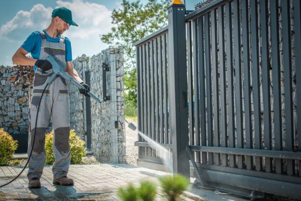 Best Rust Removal  in Pine Island Center, FL