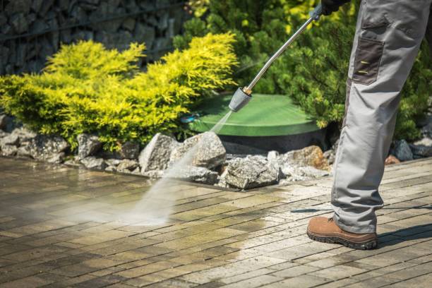 Best Driveway Pressure Washing  in Pine Island Center, FL