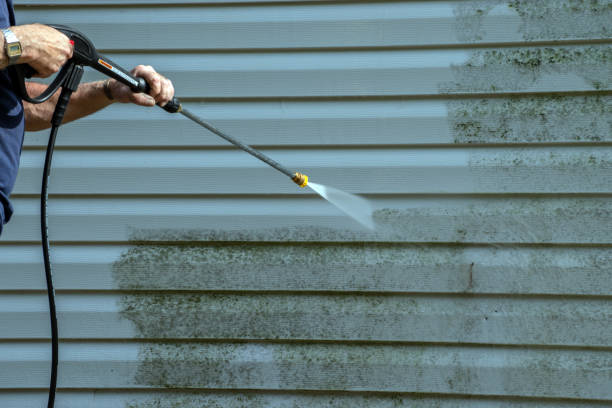 Best Patio and Deck Pressure Washing  in Pine Island Center, FL